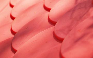 Birkshaw plastic roof costs