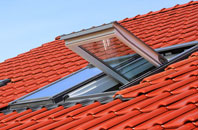 Birkshaw roof window